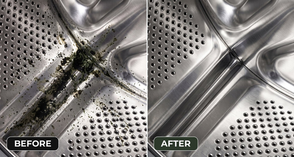 Rubber door seal with black mildew next to the same seal clean