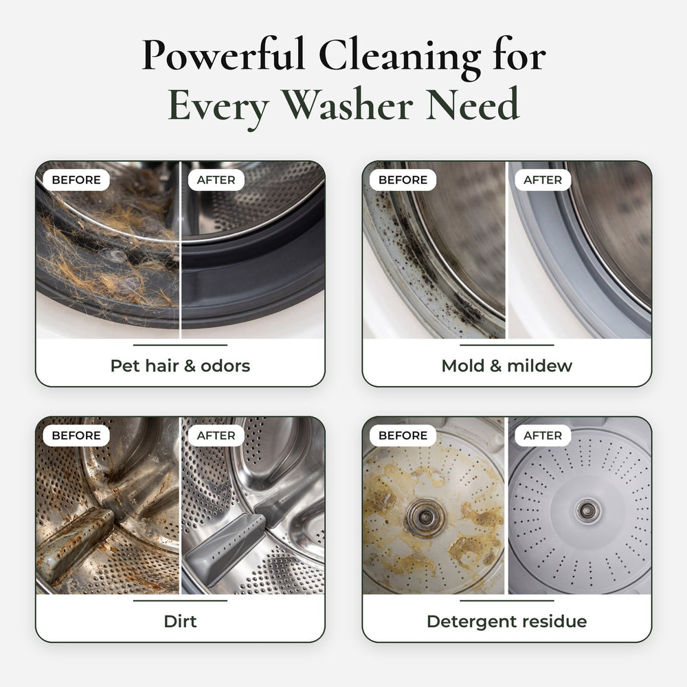 Before and after: pet hair and odors, mold and mildew, dirt, detergent residue